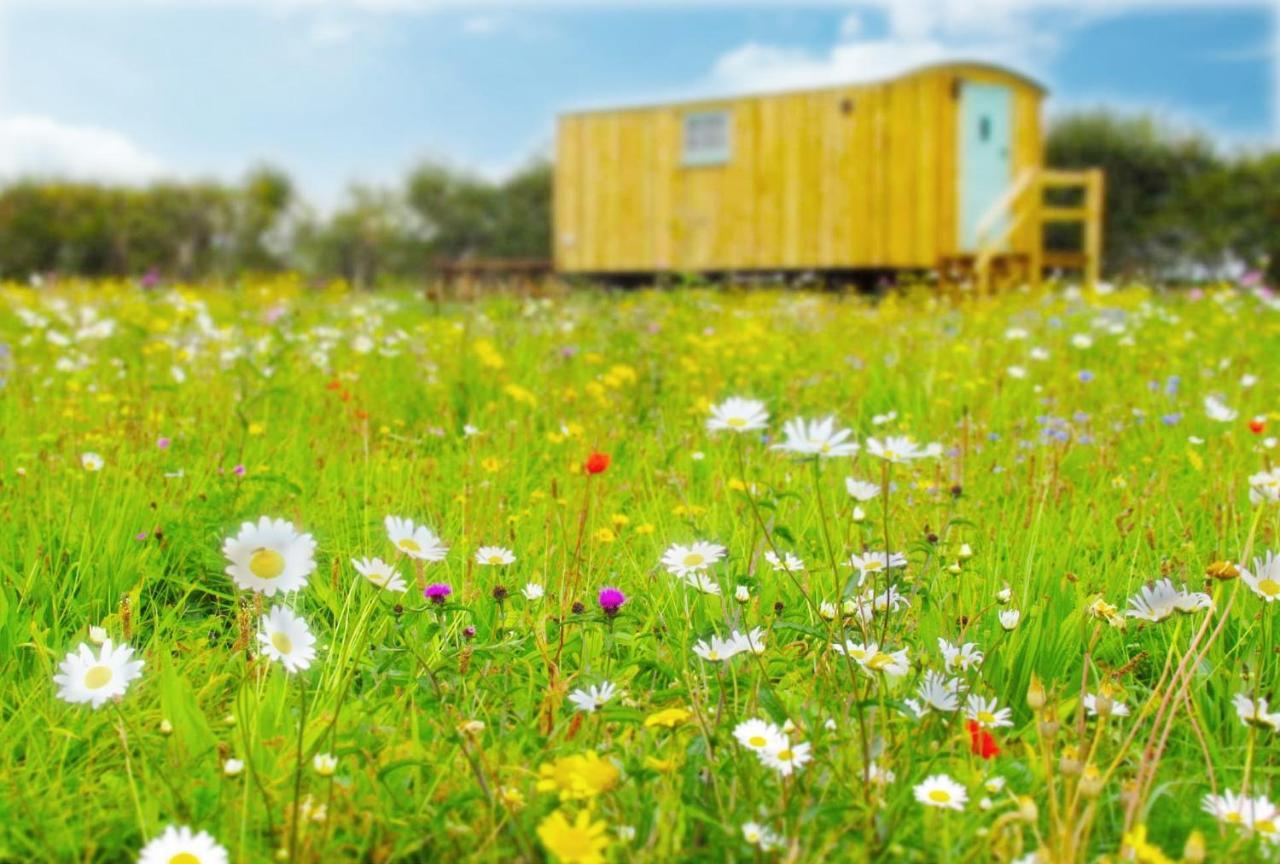 Honeysuckle Farm Holidays By Stay In Suffolk, Monk Soham Γούντμπριτζ Εξωτερικό φωτογραφία